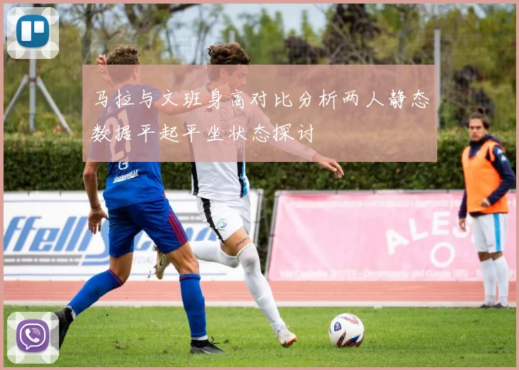 马拉与文班身高对比分析两人静态数据平起平坐状态探讨