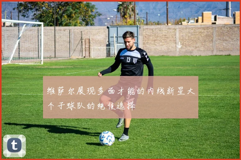 维萨尔展现多面才能的内线新星大个子球队的绝佳选择